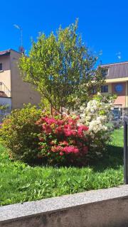 Il Pioppo Rosso Apartment MXP Milan Como Lakes Free parking! - 3