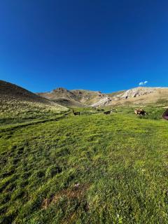 Taasir Yurt Camp - 4