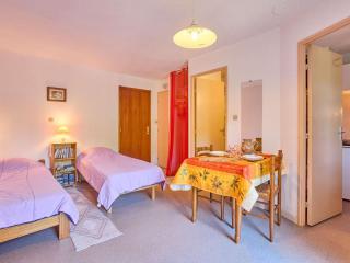Studio lumineux avec balcon, animaux acceptés, Wifi gratuit - FR-1-841-77 - Barbotan-les-Thermes - 0