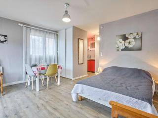 T1 bis lumineux 26,5 m², balcon sud, parking, fibre - FR-1-841-69 - 8