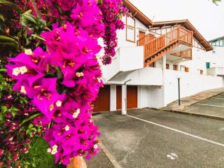 Appartement rénové Hendaye avec terrasse et parking - FR-1-2-446 - Hendaye - 6