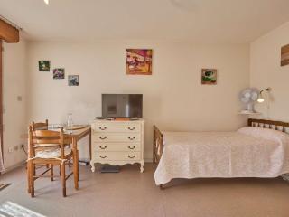 Studio lumineux 23 m² proche des thermes, animaux admis, wifi gratuit - FR-1-841-53 - 0