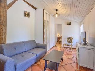 Charmant T2 avec terrasse fleurie, WiFi, animaux admis - FR-1-841-81 - 9