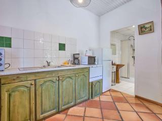 Charmant T2 avec terrasse fleurie, WiFi, animaux admis - FR-1-841-81 - 5