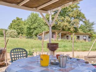 Charmant T2 avec terrasse fleurie, WiFi, animaux admis - FR-1-841-81 - Barbotan-les-Thermes - 2