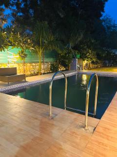 Mango People Farm - 5