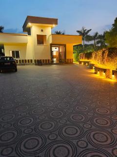 Mango People Farm - 4