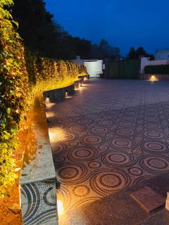 Mango People Farm - 3