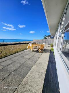 kiwi living on the beach - Tauranga - 0