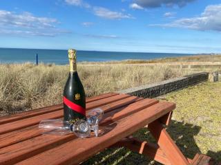 kiwi living on the beach - Tauranga - 8
