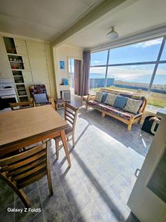kiwi living on the beach - Tauranga - 4