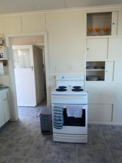 kiwi living on the beach - Tauranga - 2