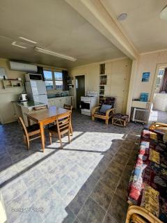 kiwi living on the beach - Tauranga - 1