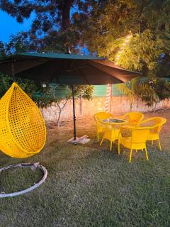 Mango People Farm - 1