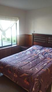 departamento pucon - 3