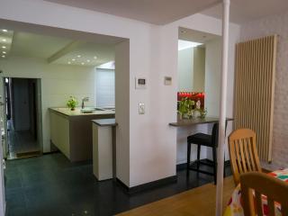 Eya House, cozy, bright & well located - Bruxelles - 5