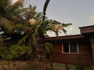 Kikon et Orama - Huahine - 6