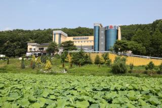 Mungang Hot Springs Hotel - 8
