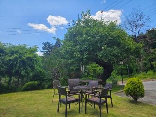 Yangpyeong Blue Hill Pension - 1