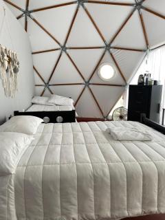 Glamping Aldea Hualtepec Cactus - Huichapan - 6