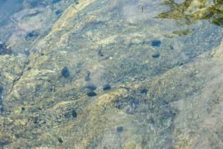 Feelstay Valley Pension - 2