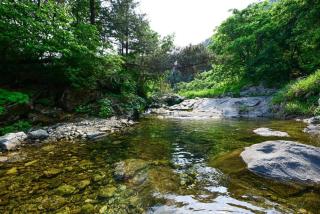 Feelstay Valley Pension - 7