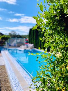 Villa - Riviera Nistreana - 0