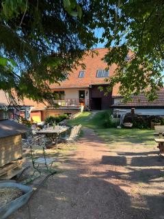 Das Falken Nest - Eisenbach (Hochschwarzwald) - 0