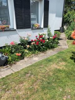 Apartament RÓŻE - 6