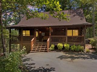 ER93 - Pirate's Cove - Great Location! Close to All the Action! cabin - Pigeon Forge - 9