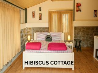 Bougainvilla Mountain Retreat, near Bhimtal - 4