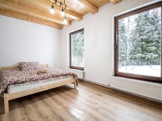 Dorottya - Borzont - 4