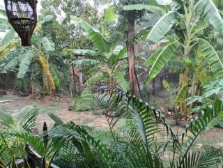 Savet Family Homestay & Tour - Battambang - 5