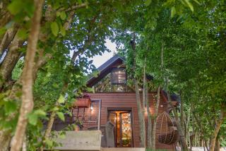 Mountain harmony Lovćen - 9