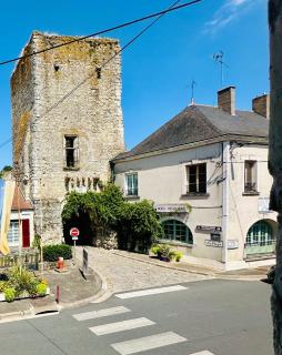 Maison 3 chambres 8 pers proche Zoo de Beauval - Mennetou-sur-Cher - 4