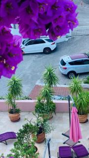 Luxury Apartments Marhella & Jakov - Makarska - 5