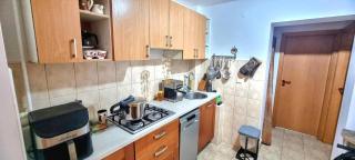 Rhapsody Apartment - BIG Terrace, FREE parking - Timişoara - 7