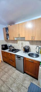 Rhapsody Apartment - BIG Terrace, FREE parking - Timişoara - 2