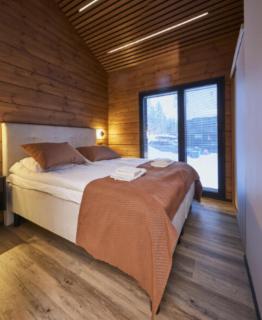 Villa Lux B Ski-in Ski-out by Aavalevi - 1