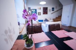 4 Rooms, 2 BDR Vilnius Old Town Apartment and Terrace - Vilnius - 7