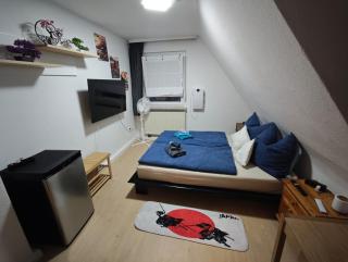 Franken Zimmer - Hallstadt - 8