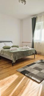 E&C Aparthotel Bucharest Mall, Unirii Area - Bucharest - 7