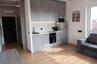 Sunlit City Loft- Prime Views - Vilnius - 1