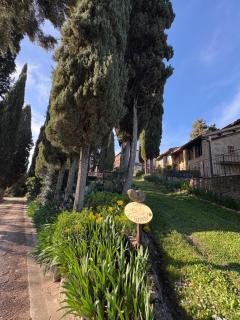 Podere Le Grotte - San Gimignano - 6