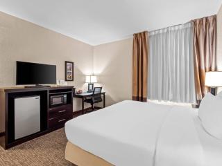 Comfort Inn & Suites Allen Park - Dearborn - Allen Park - 1