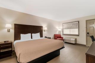 Quality Inn & Suites I-10 near Fiesta Texas - San Antonio - 5