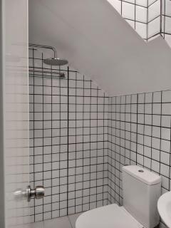 Tokai's CC House - 3