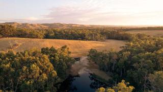 Tiny Bobbie - Loch - 8