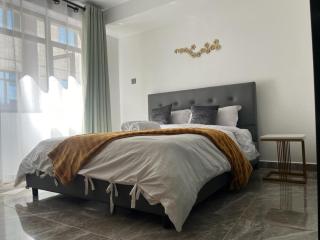 Executive Spacious Studio in Kilimani - Nairobi - 0