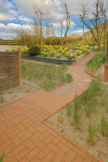 Ferienwohnung Sonnendüne Insel Juist - 1